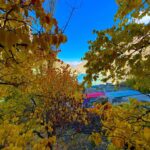 ShishkInn Lake resort (9)