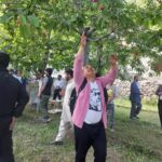 hunza-cheery