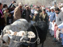 Ginani – A Traditional Festival of Hunza Valley