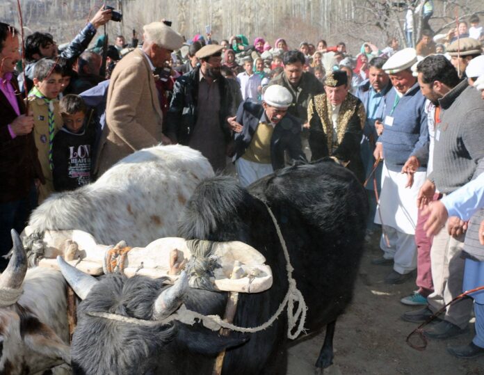 Ginani – A Traditional Festival of Hunza Valley