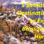 5 Beautiful Destinations to Enjoy Blossom in Hunza