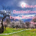 5 Beautiful Destinations to Enjoy Blossom in Hunza